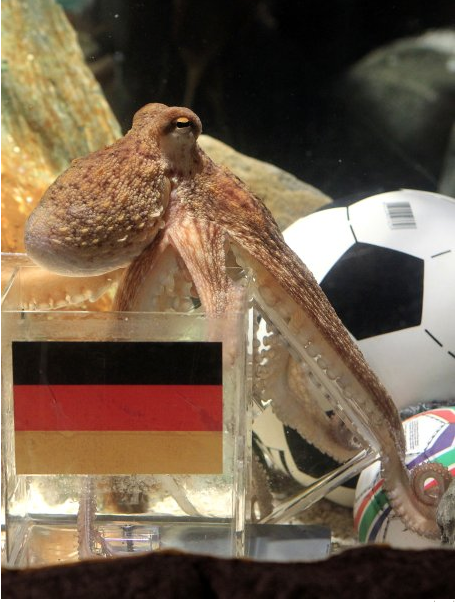 Paul the Octopus